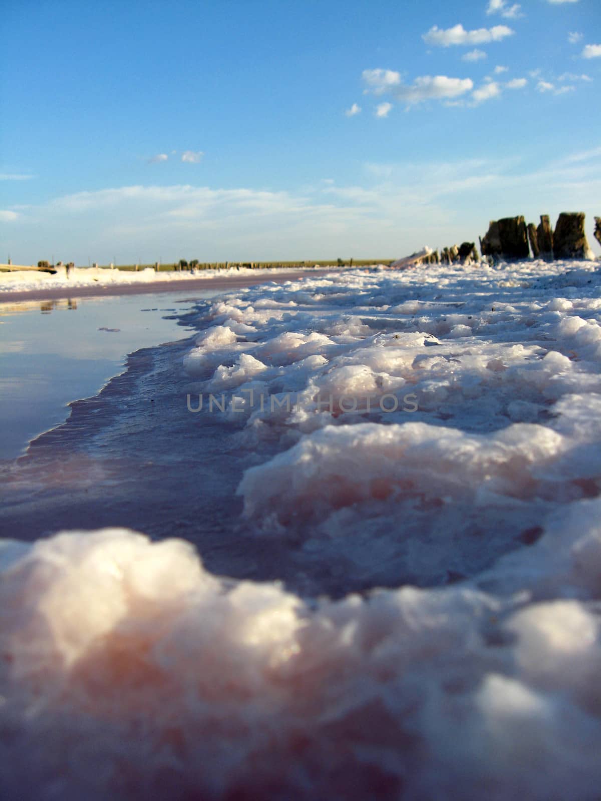 landscape of formation of salt in Sivash by alexmak