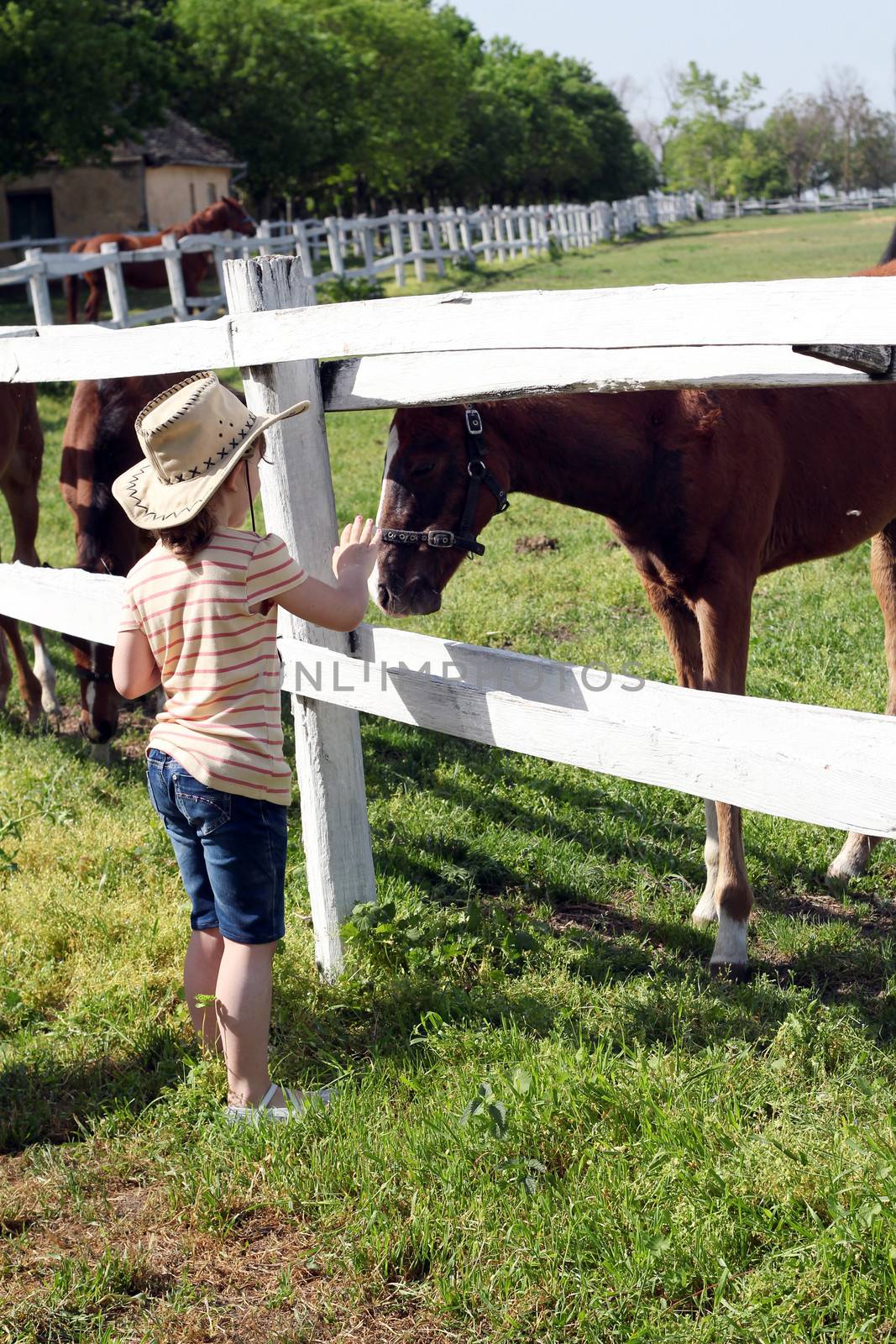 little girl with horses farm scene by goce