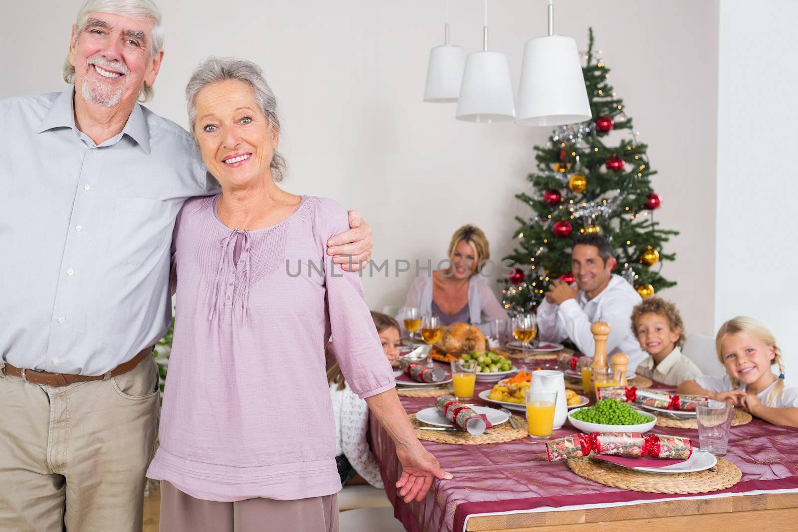 Smiling grandparents standing by the dinner table at christmas time