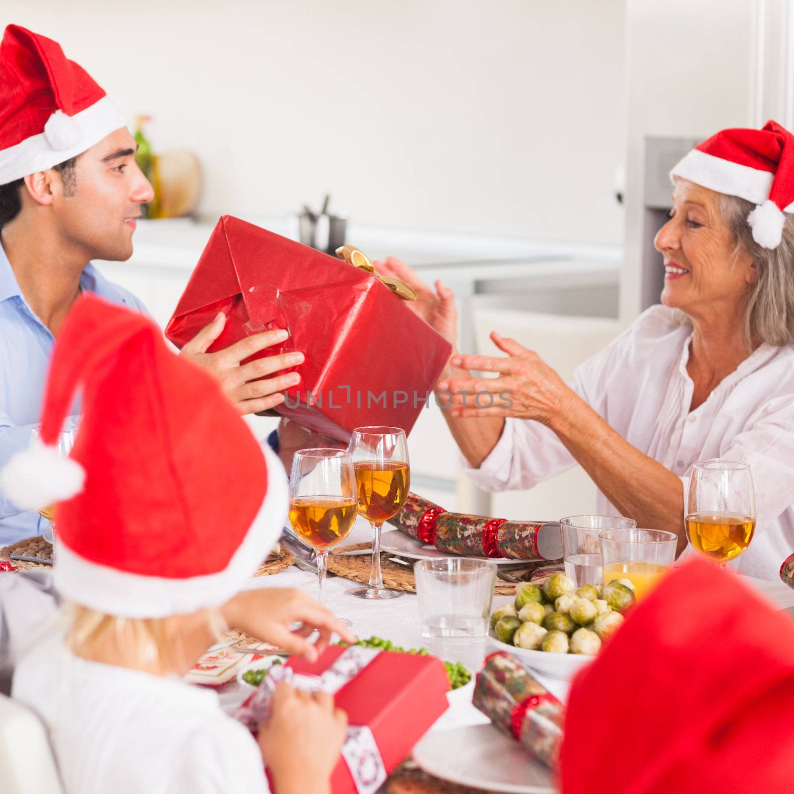 Family exchanging christmas presents by Wavebreakmedia