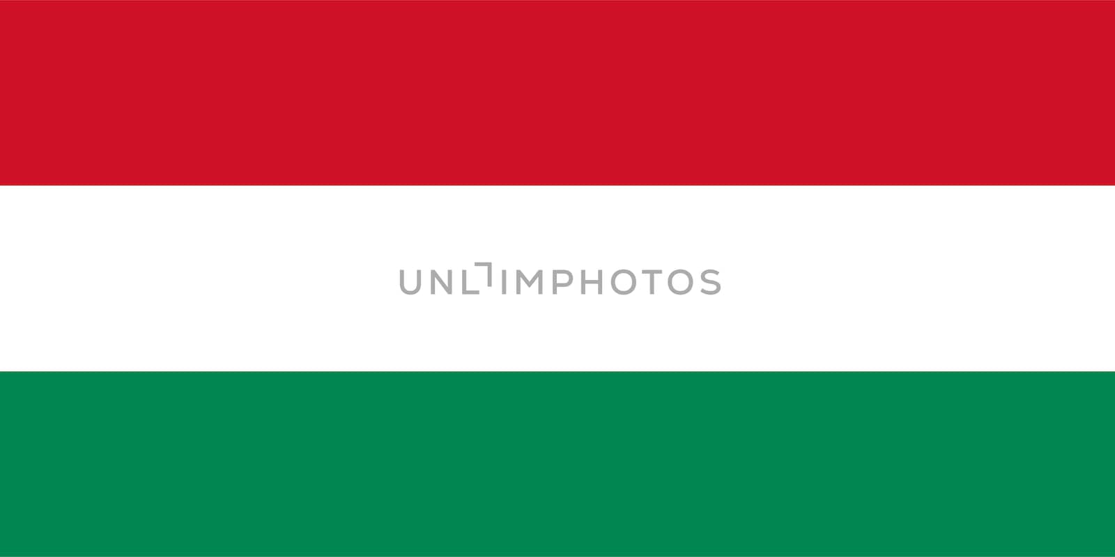 Hungary flag by claudiodivizia
