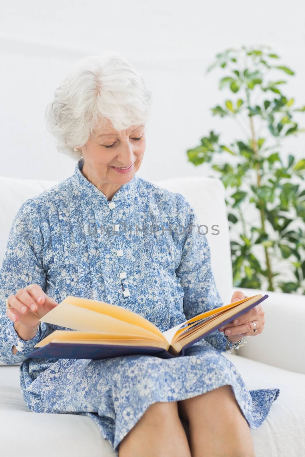 Elderly happy woman looking at her family album by Wavebreakmedia