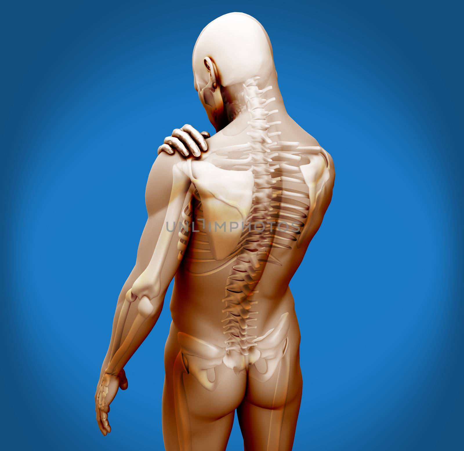 Transparent digital body with shoulder pain by Wavebreakmedia