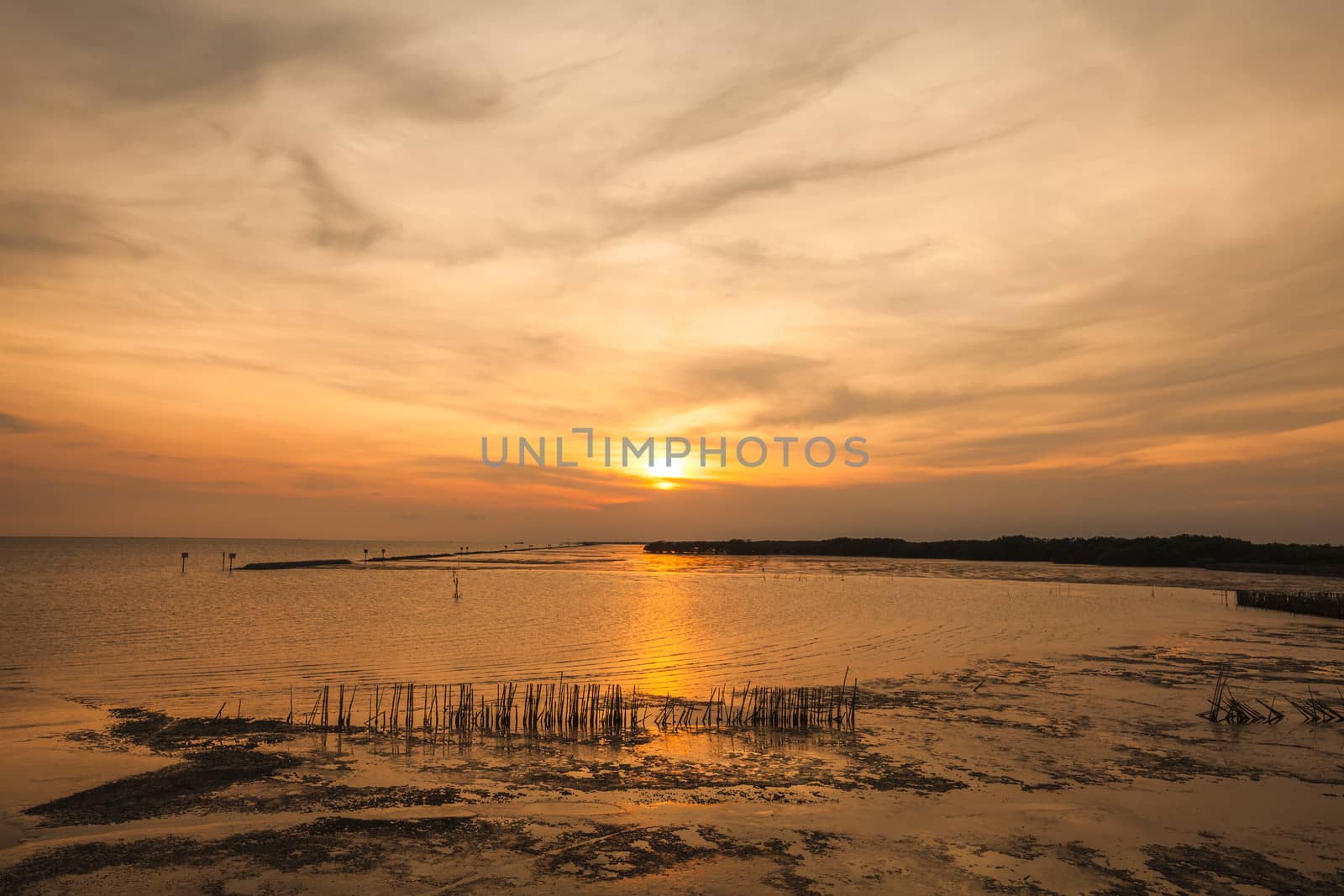 Beautiful sunset in the sea