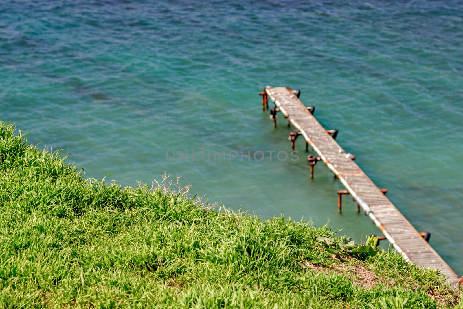 Green grass and sea with pier on background
