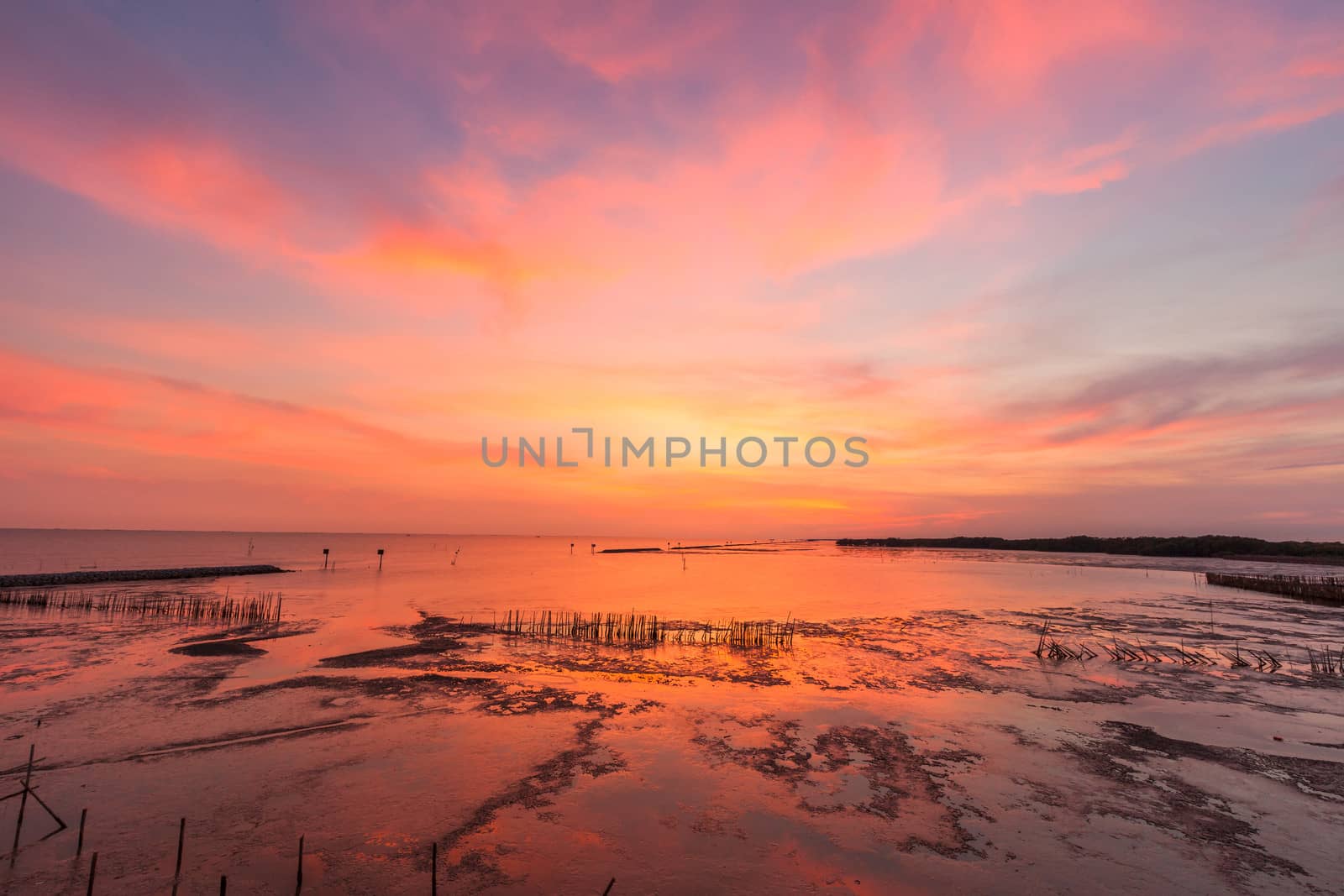 Beautiful sunset in the sea