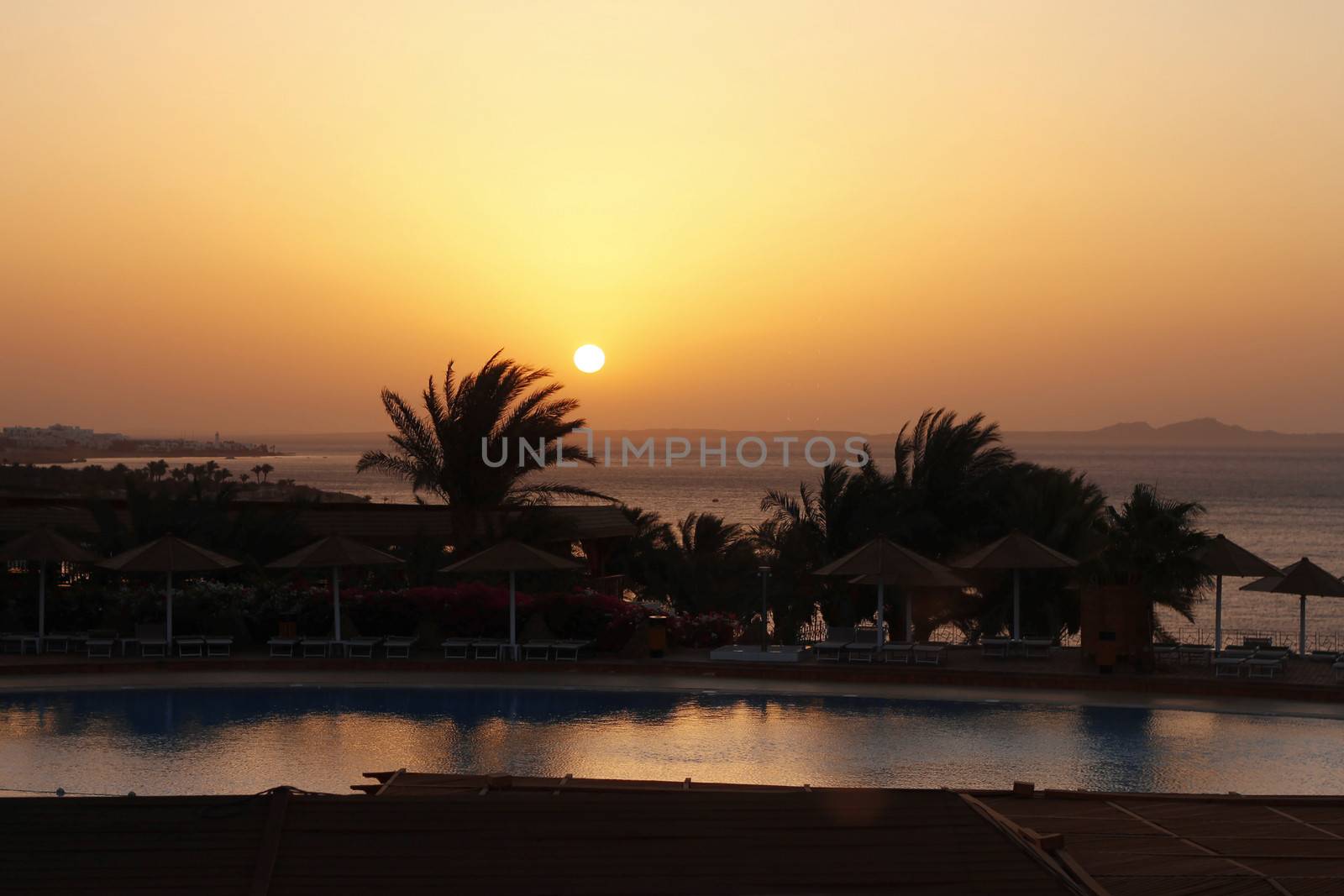 Sunrise from The Red sea and tropical landscape