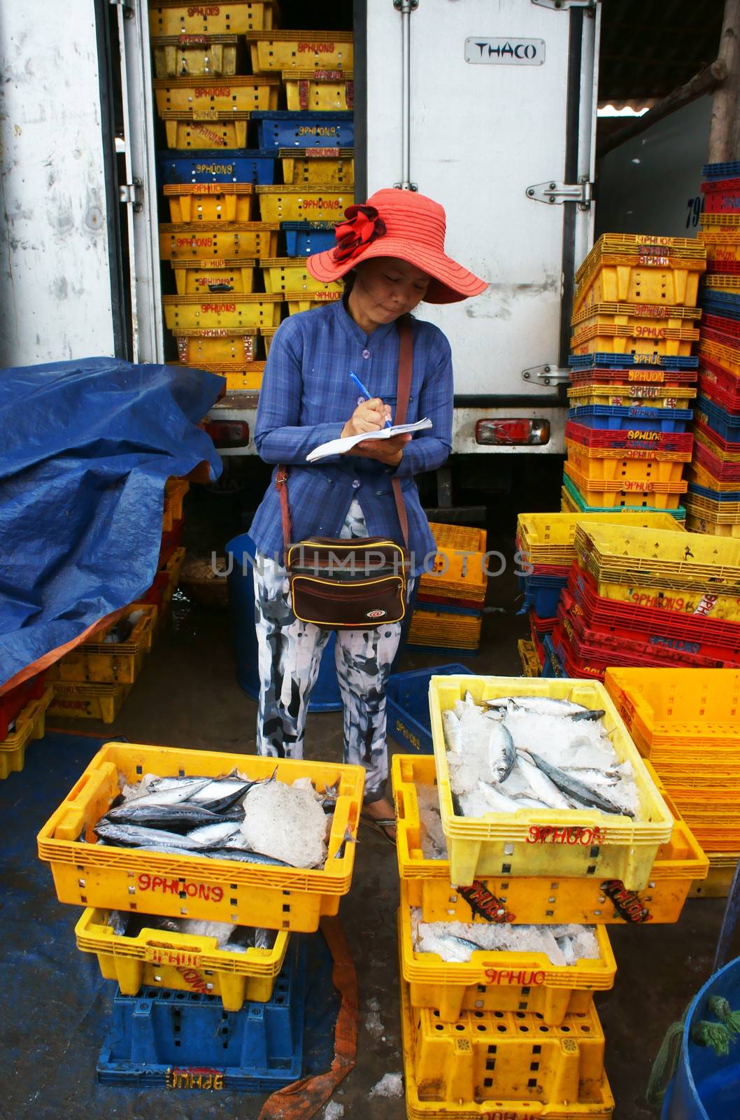 Fish is placed in yellow plastic trays, transported to wholesale at fishing market, women take notes into books about their fish to sale.July 15, 2013