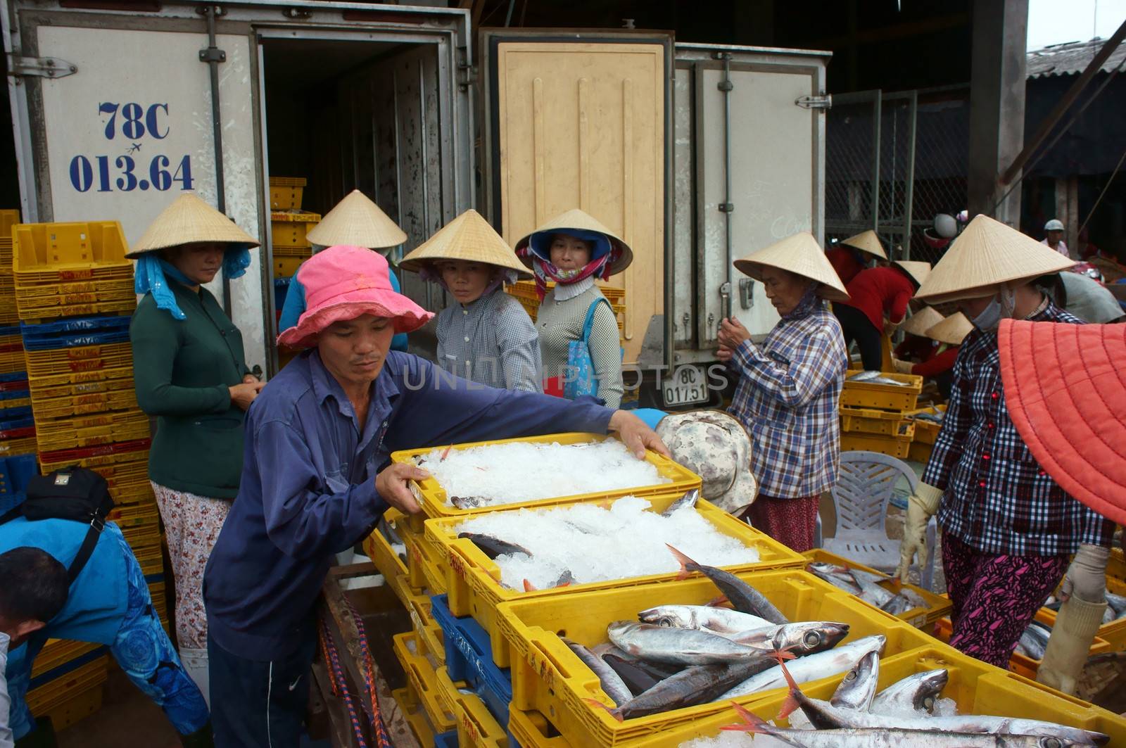 Fish is placed in yellow plastic trays, transported to wholesale at fishing market, man arrange fish plastic tray, women stand surround and look at those. July 15, 2013

