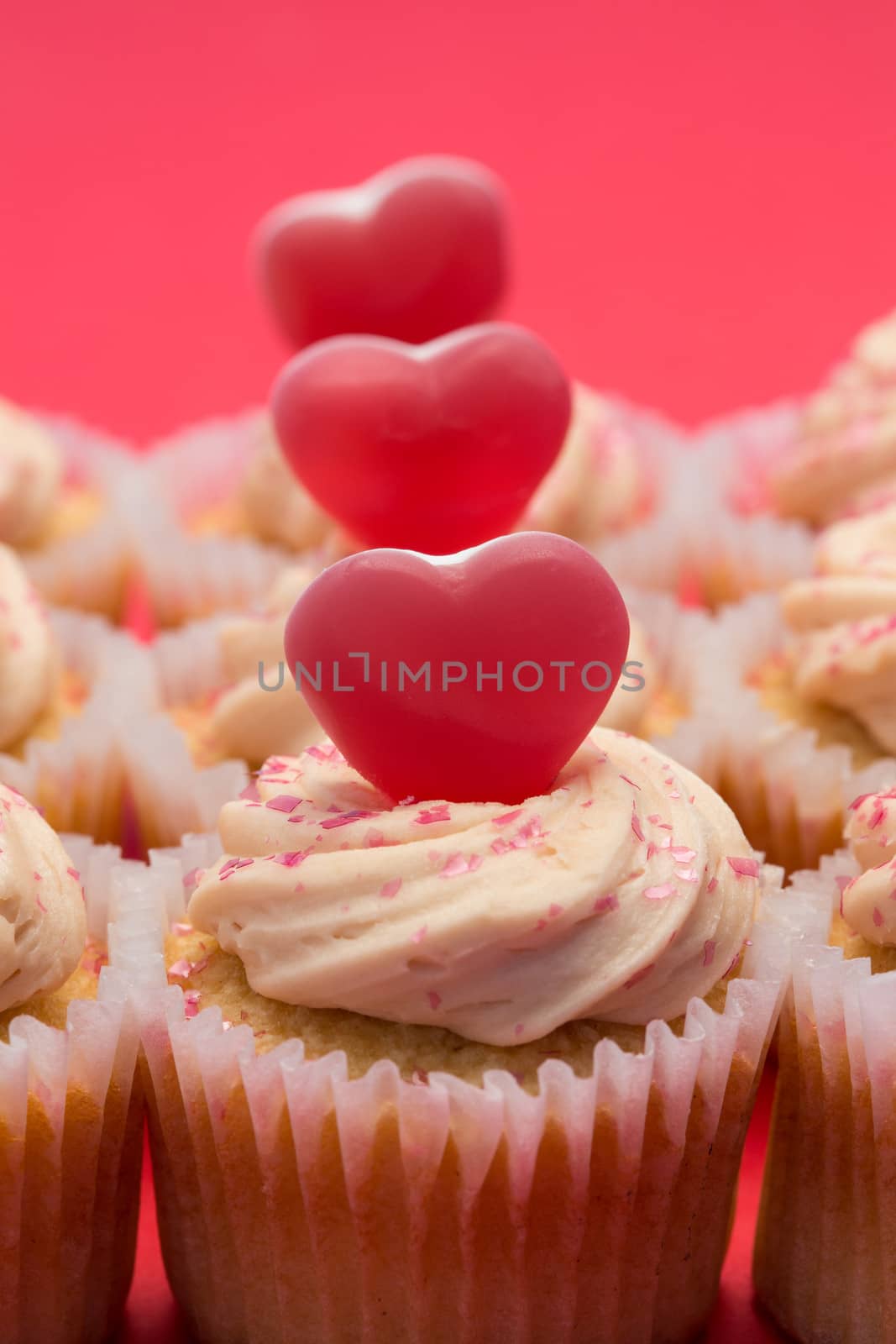 Valentines day pink and white cupcakes on pink background