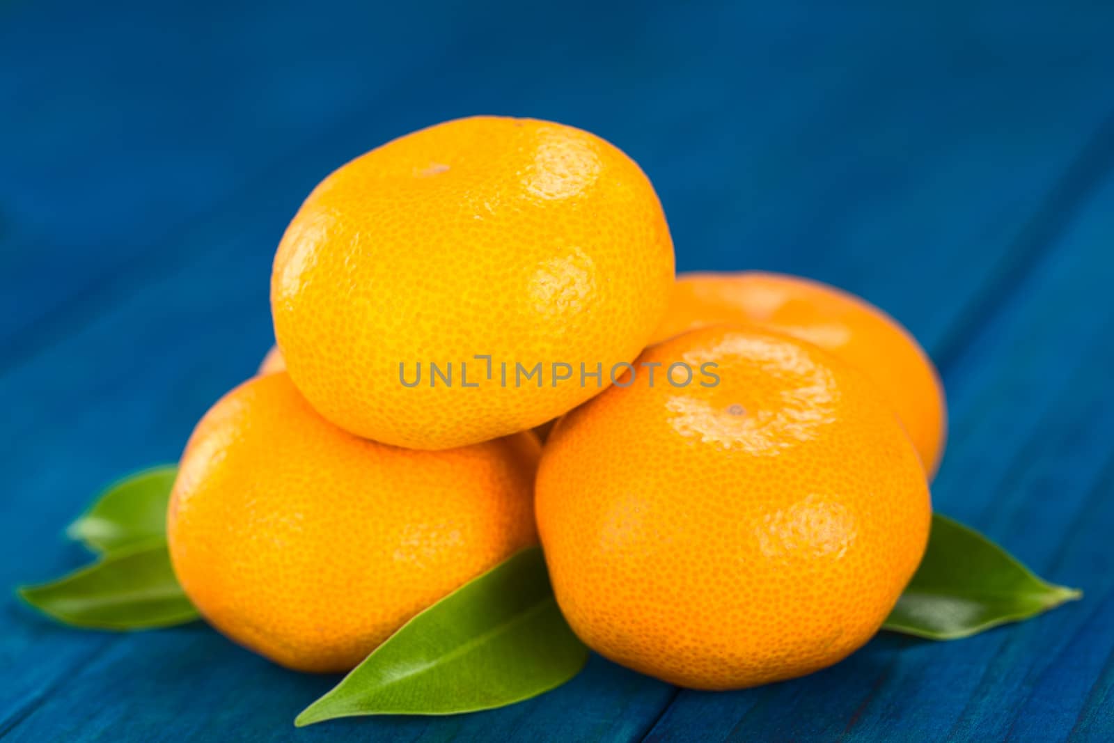 Pile of mandarins with leaves on blue wood (Selective Focus, Focus on the front of the mandarin on top and on the right) 