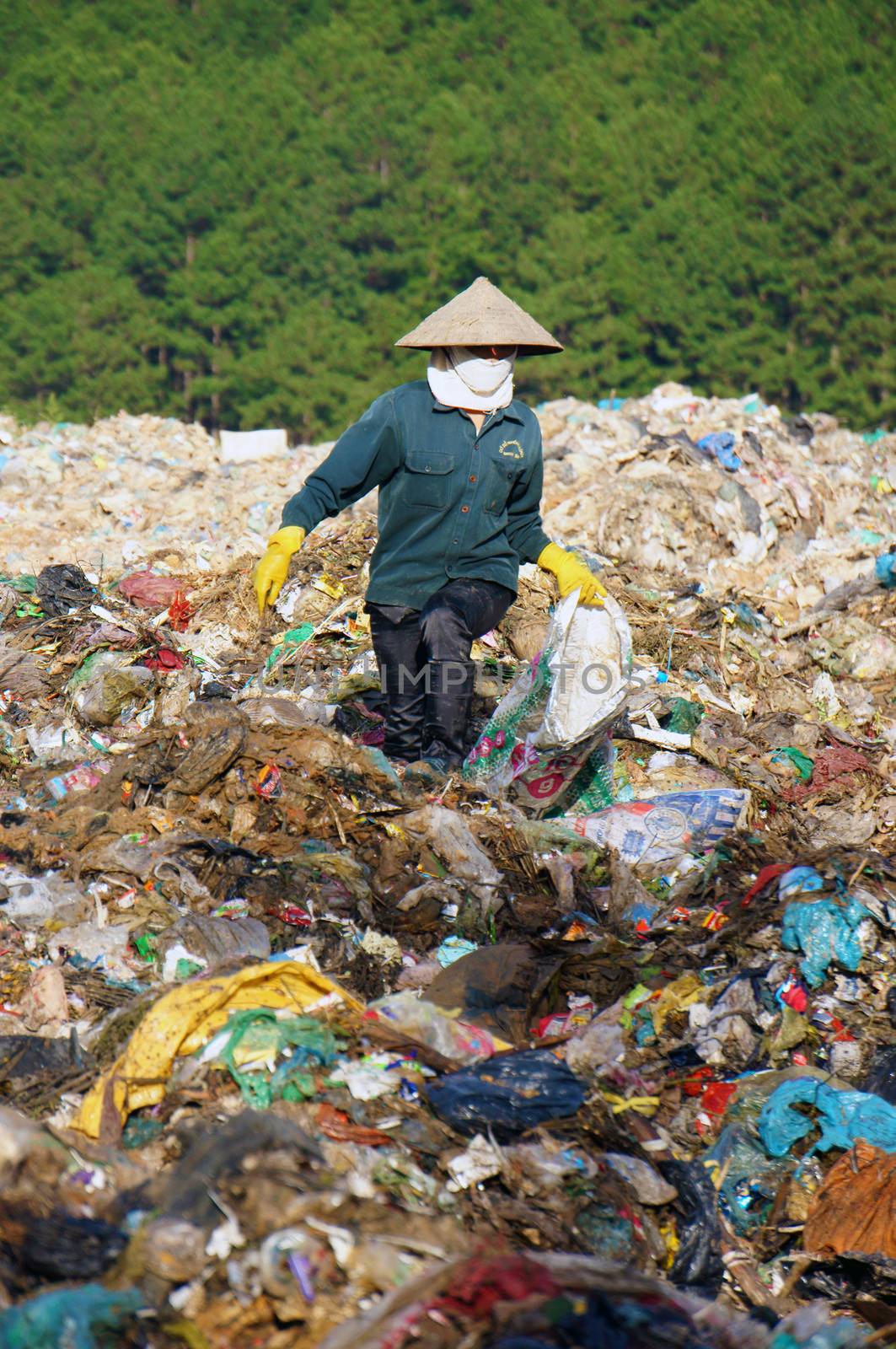 Many people make their live by pick up waste, someone pick up along street, these people concentrate at rubbish dump, they work all day here. Viet Nam- September 05, 2013