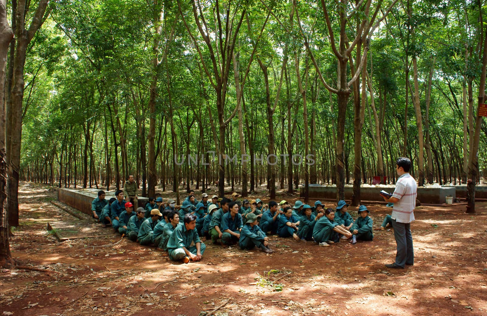 After working day, Dong Phu plantation's rubber worker meeting with team leader to report their work and listen affair content to next day. Binh Phuoc,Viet Nam-  May 9, 2013