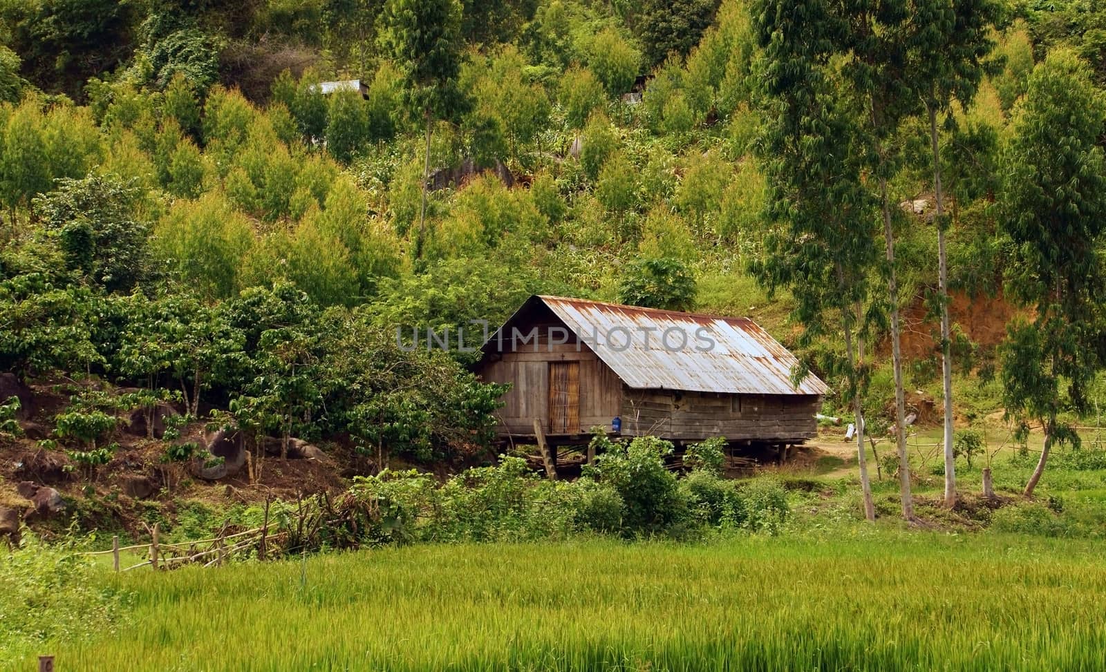 House on stilts is kind of house that the floor put halfway colums, higher a space than ground or water surface, often seen in forest and mountain or waterways area.  The ethnic minority usually live in.