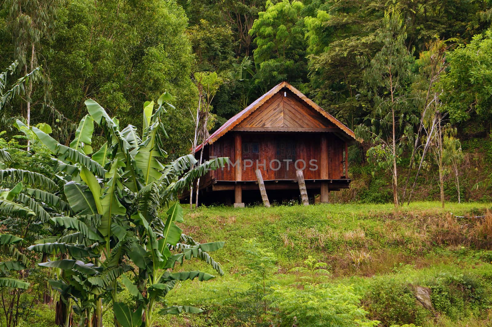 House on stilts is kind of house that the floor put halfway colums, higher a space than ground or water surface, often seen in forest and mountain or waterways area.  The ethnic minority usually live in.