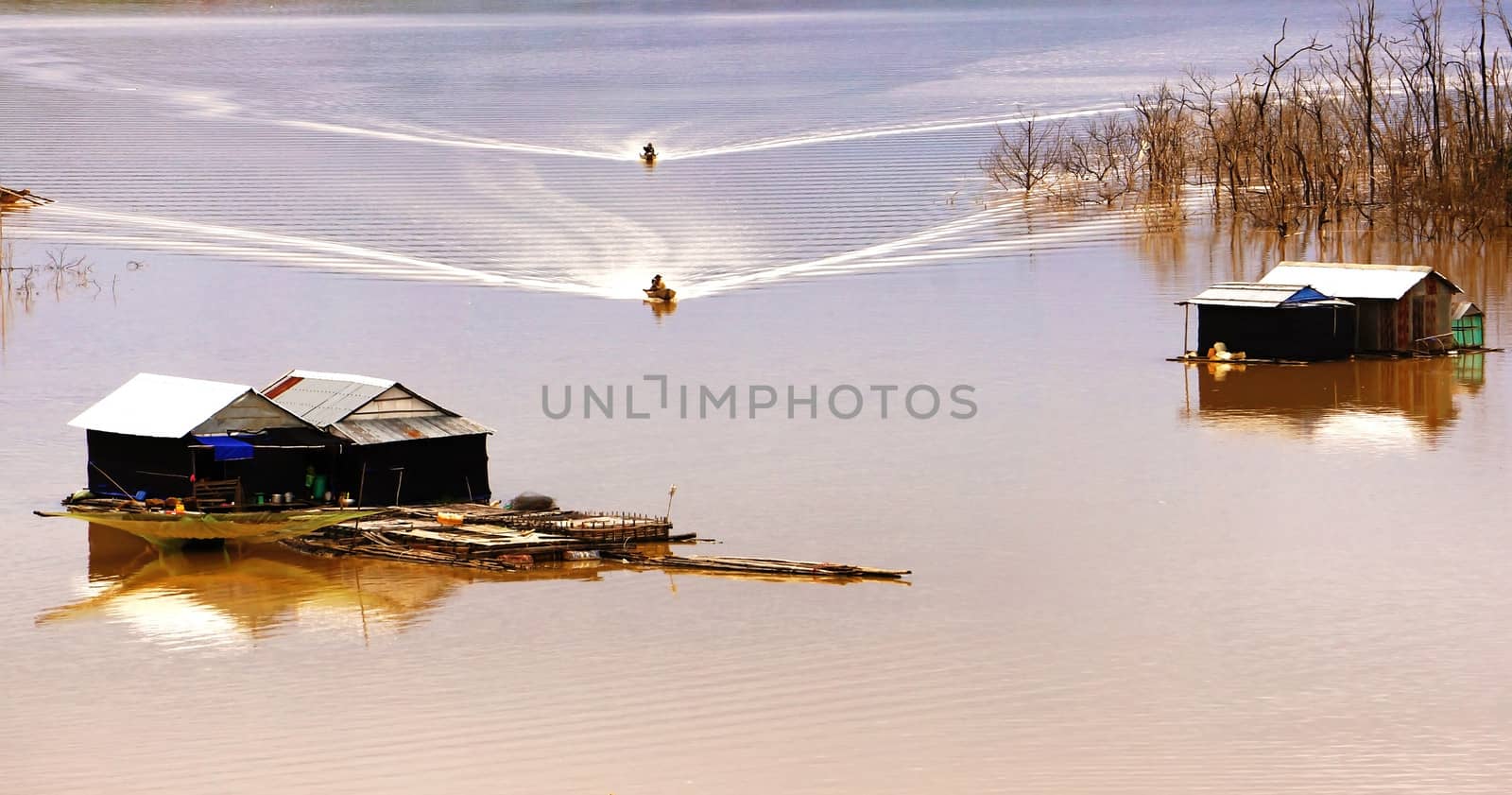  the scene of fisherman coming their lake dwelling by motor-boat at fishing village create ripplings on the water suface is so lively. This fishing village locate at NamKa lake, Dalak.