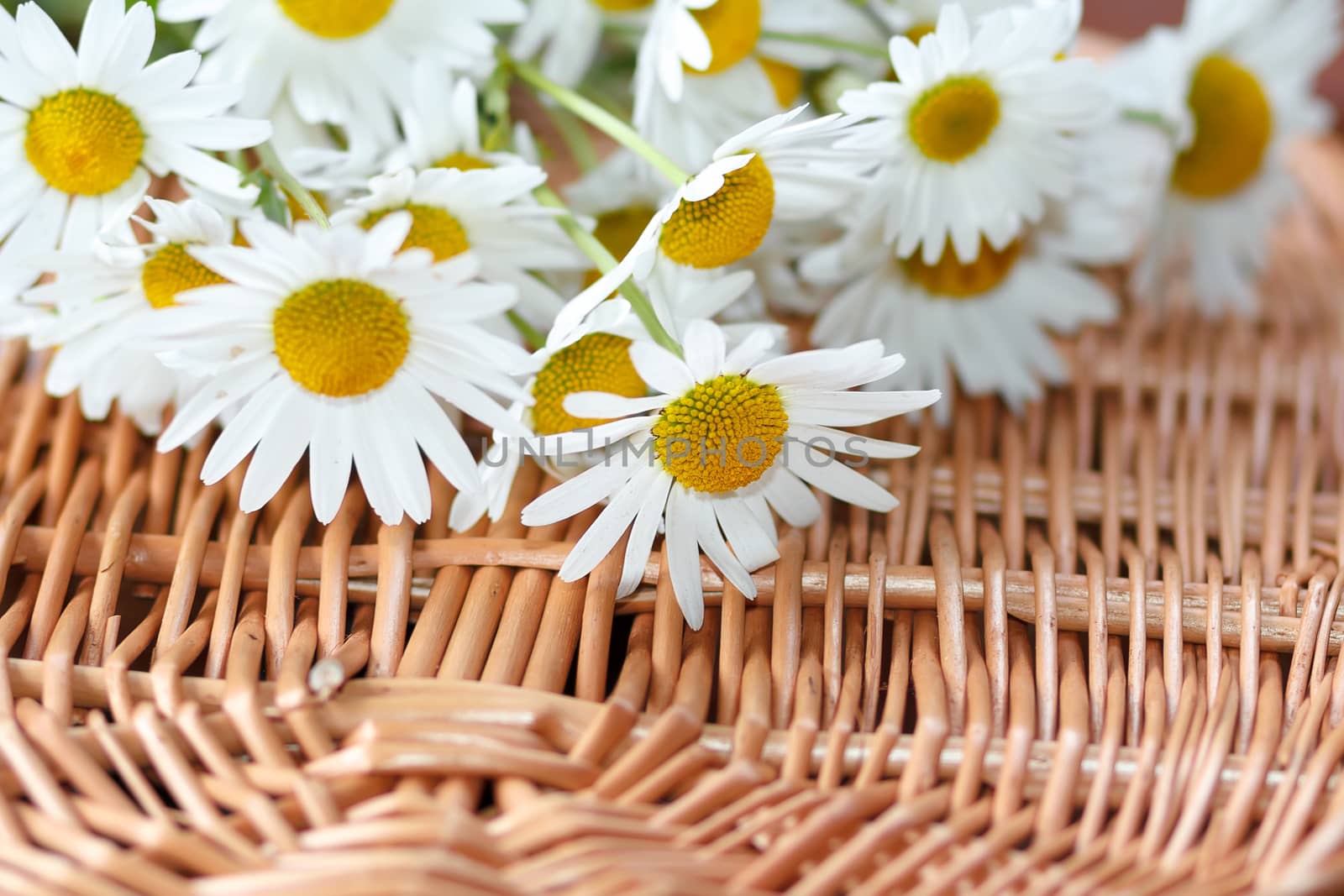 detail of daisy flower with shallow focus on the wicker basket
