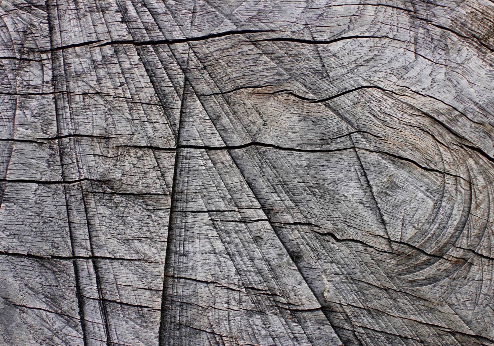 Weathered wood abstract background texture
