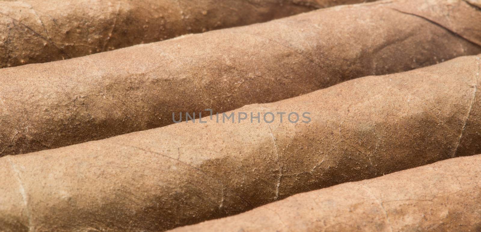 Cigars close up by Wavebreakmedia
