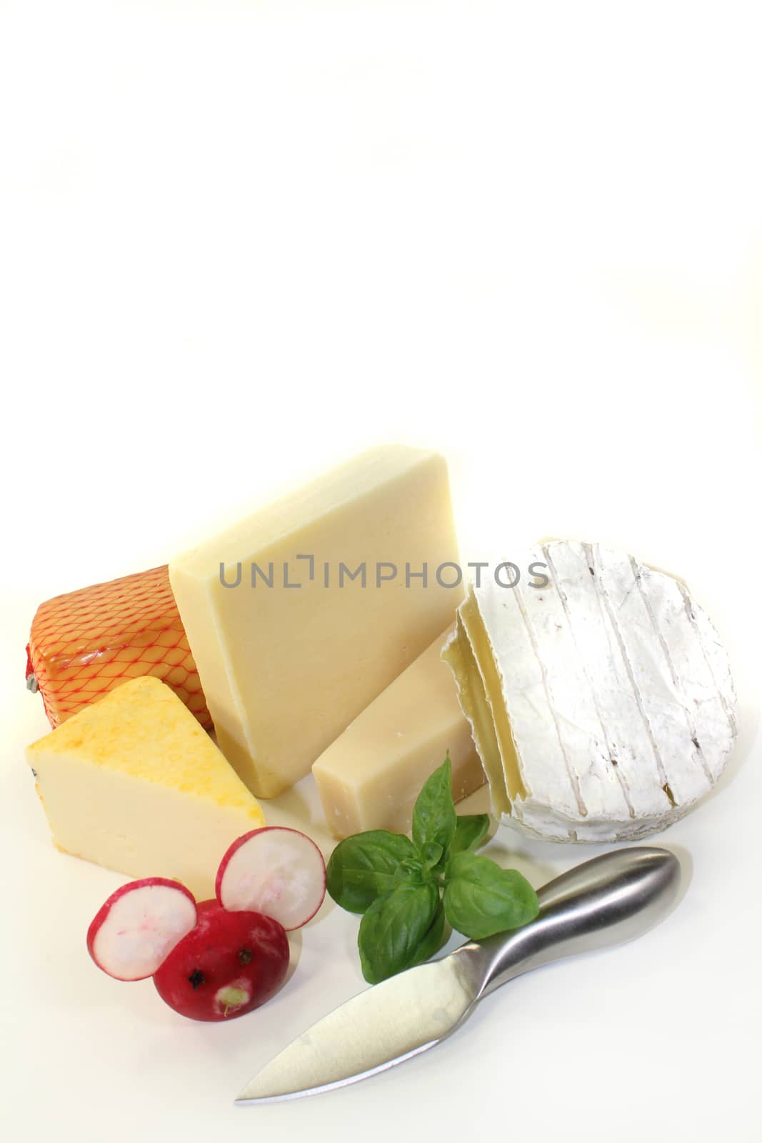 different types of cheese against white background