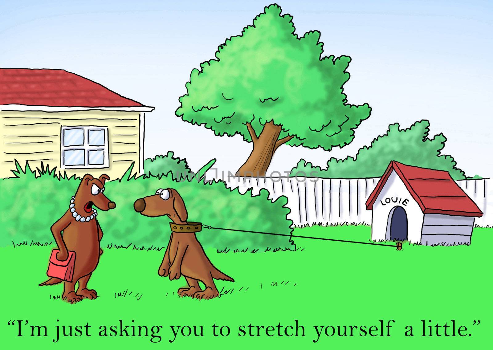 "I'm just asking you to stretch yourself a little."