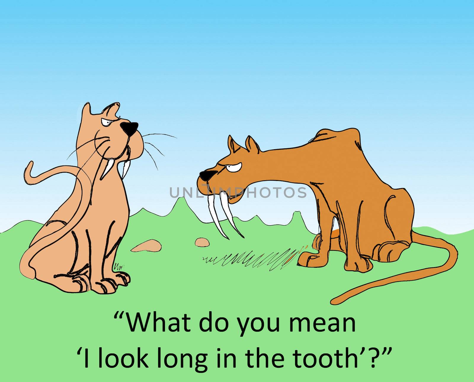 "What do you mean 'I look long in the tooth'?"
