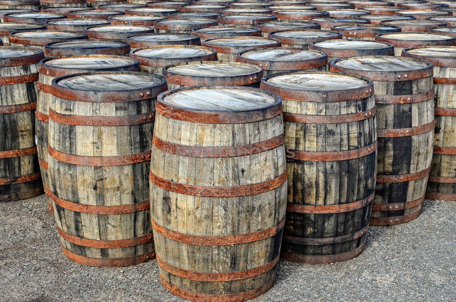 Stacked whisky casks and barrels by martinm303