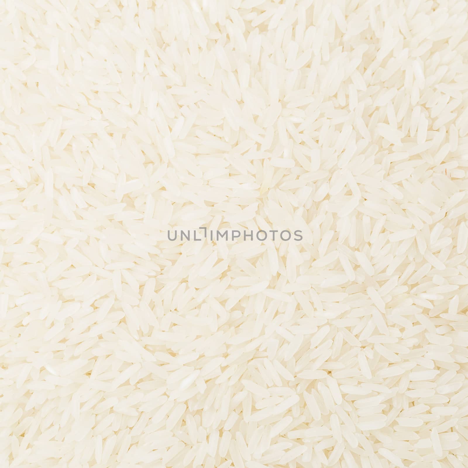 Uncooked white rice close up