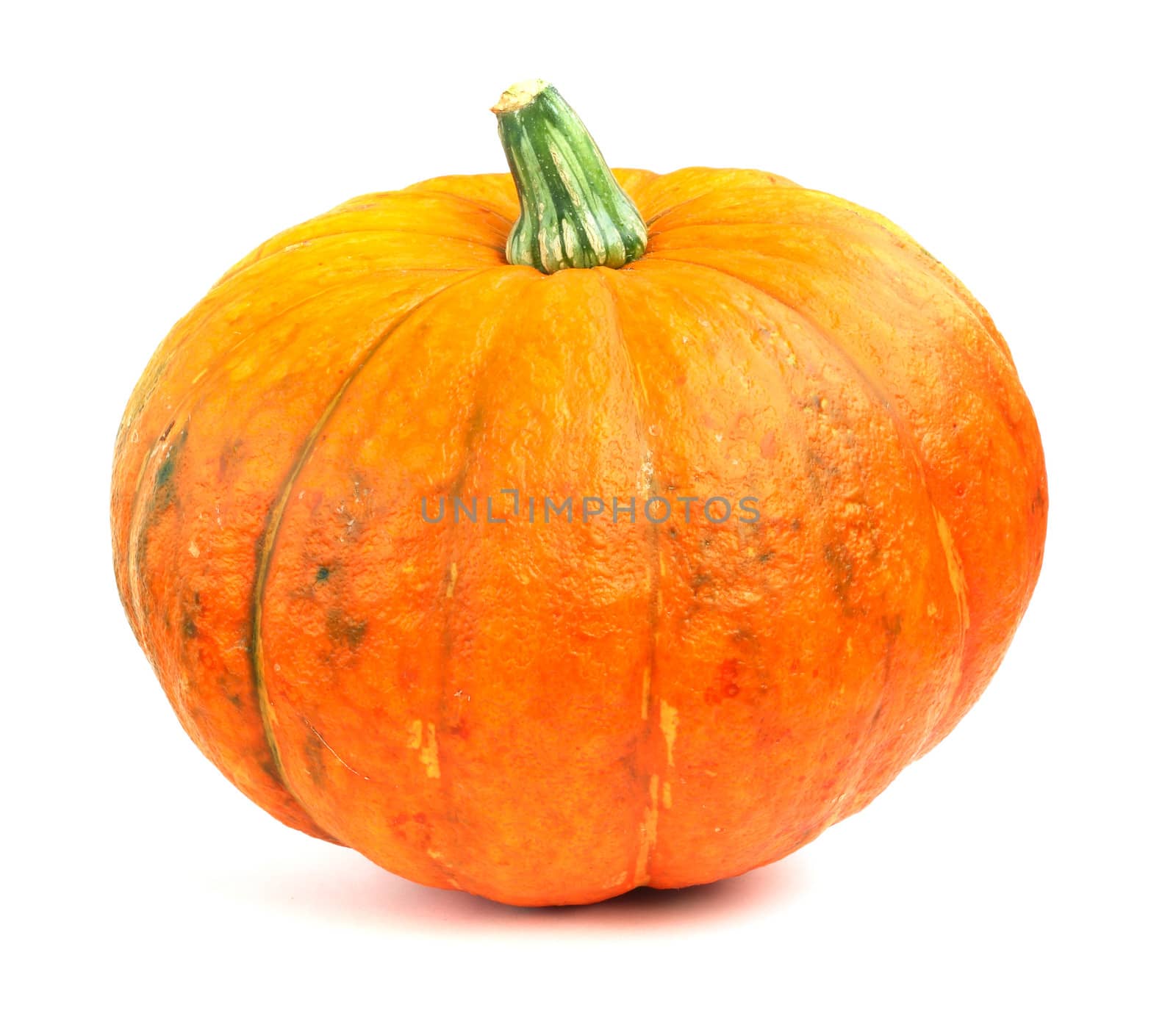 Fresh orange pumpkin islated on white background close-up