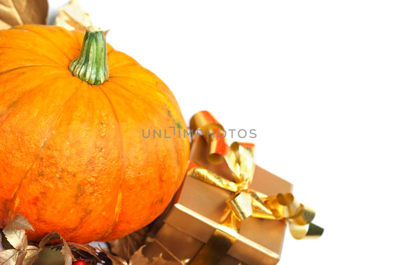 Halloween pumpkin with autumn leafs and gift isolated on white