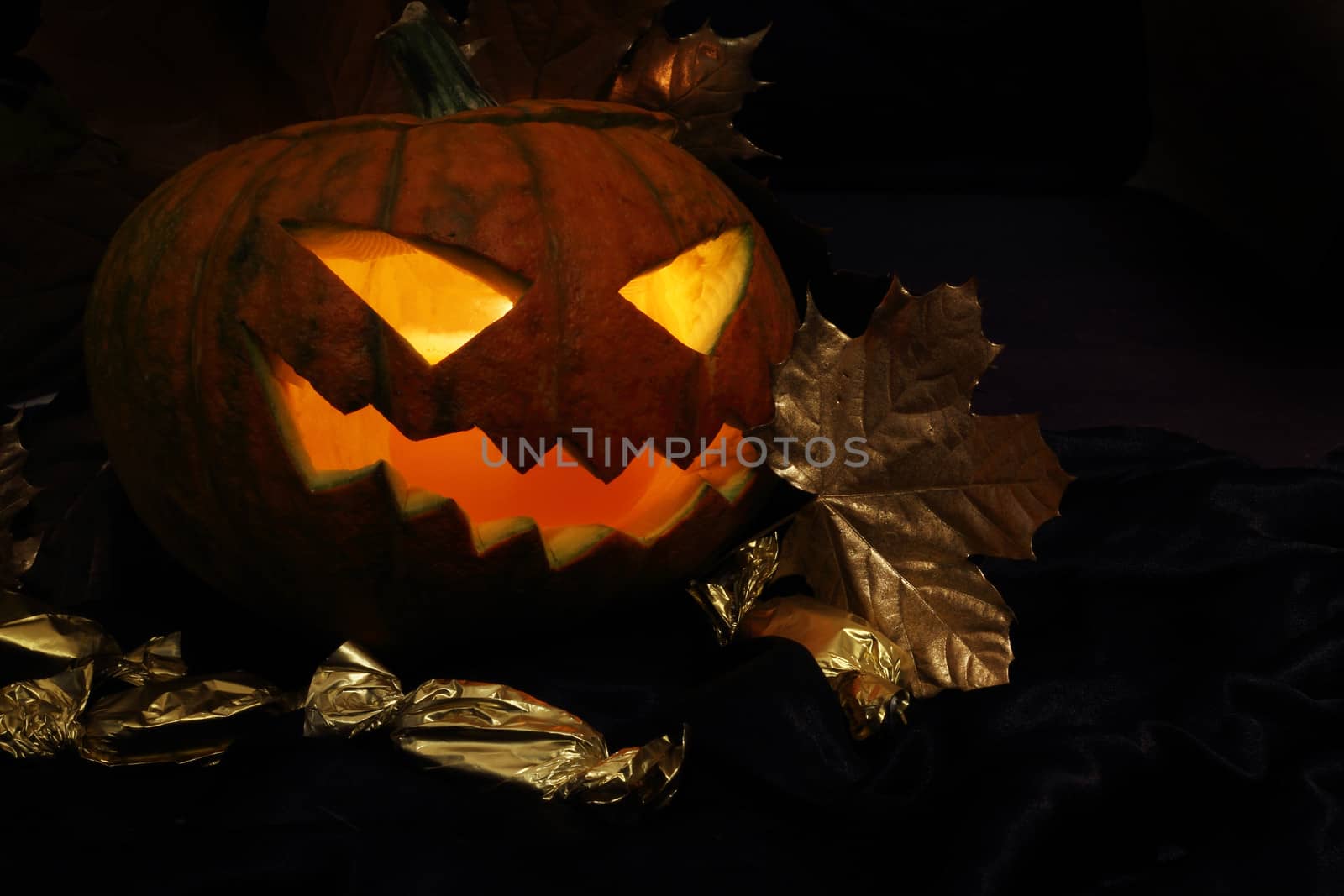 Halloween pumpkin with autumn leafs on black