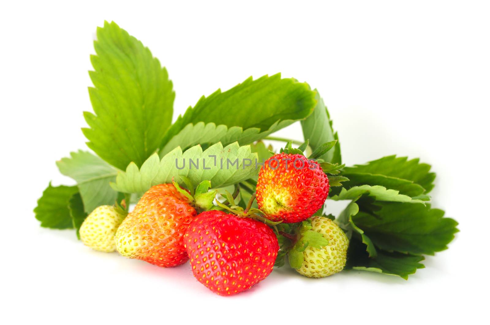 Strawberry with leaves isolated on white background