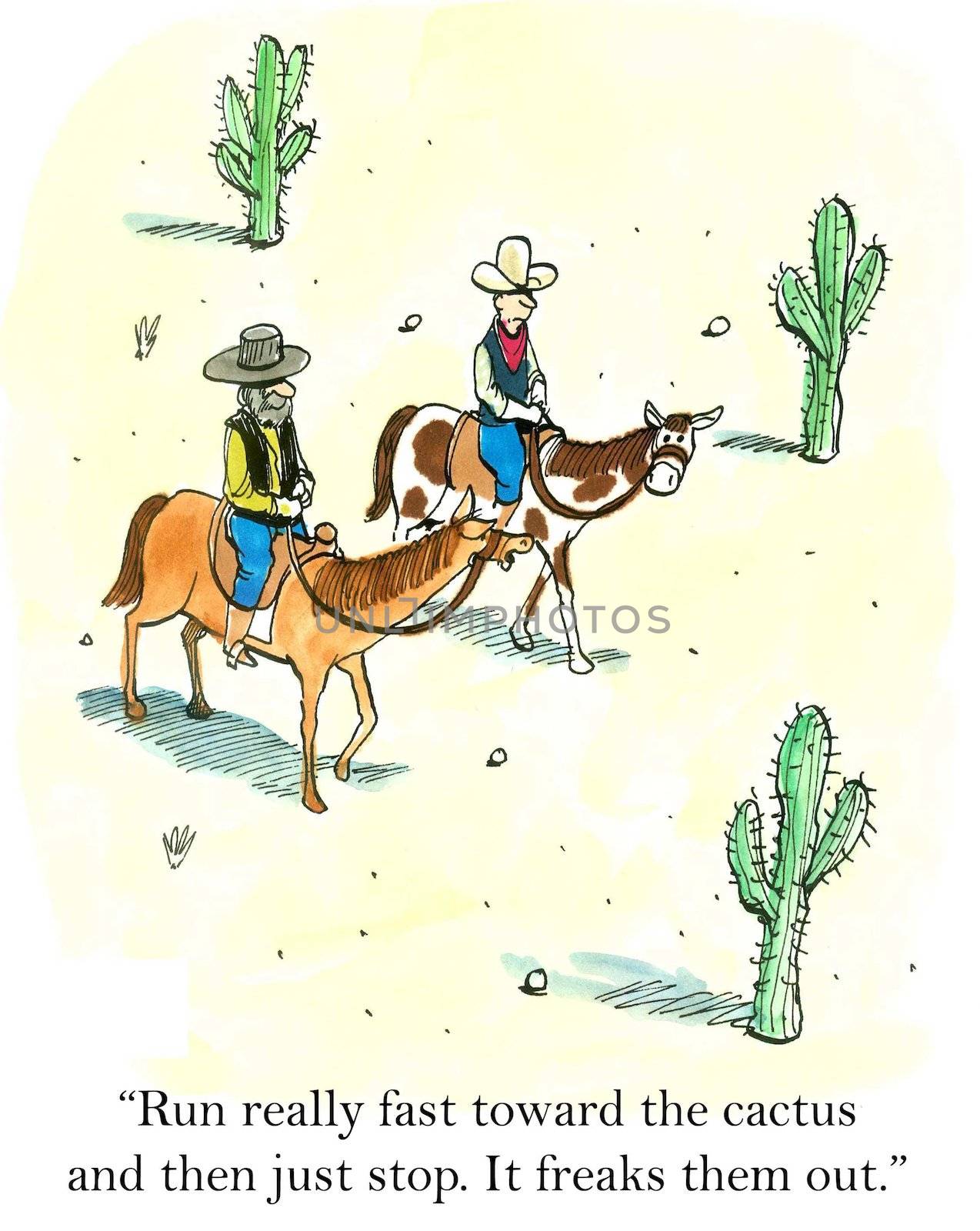 "Run really fast toward the cactus and then just stop. Freaks them out."