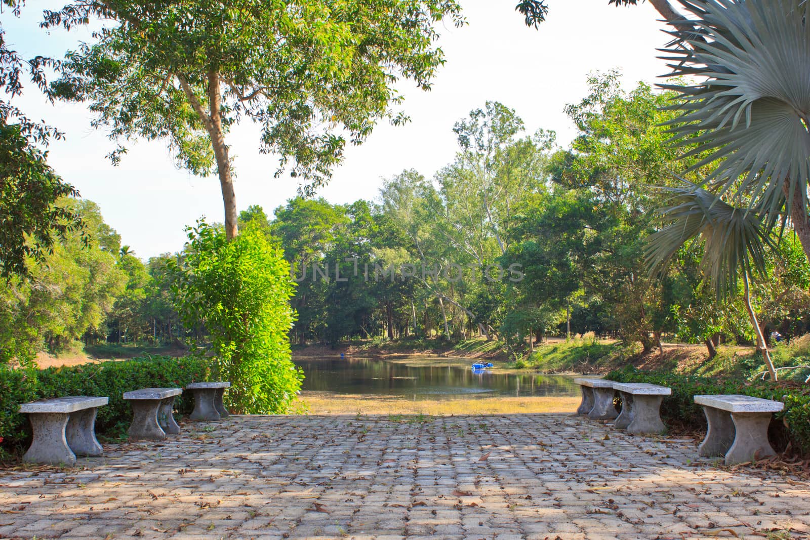 Landscaping in the garden. The path in the swamp