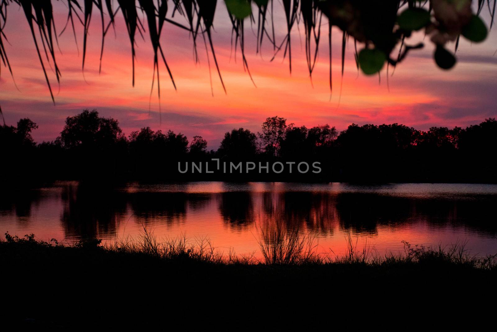 trees silhouette on sunset Thailand river