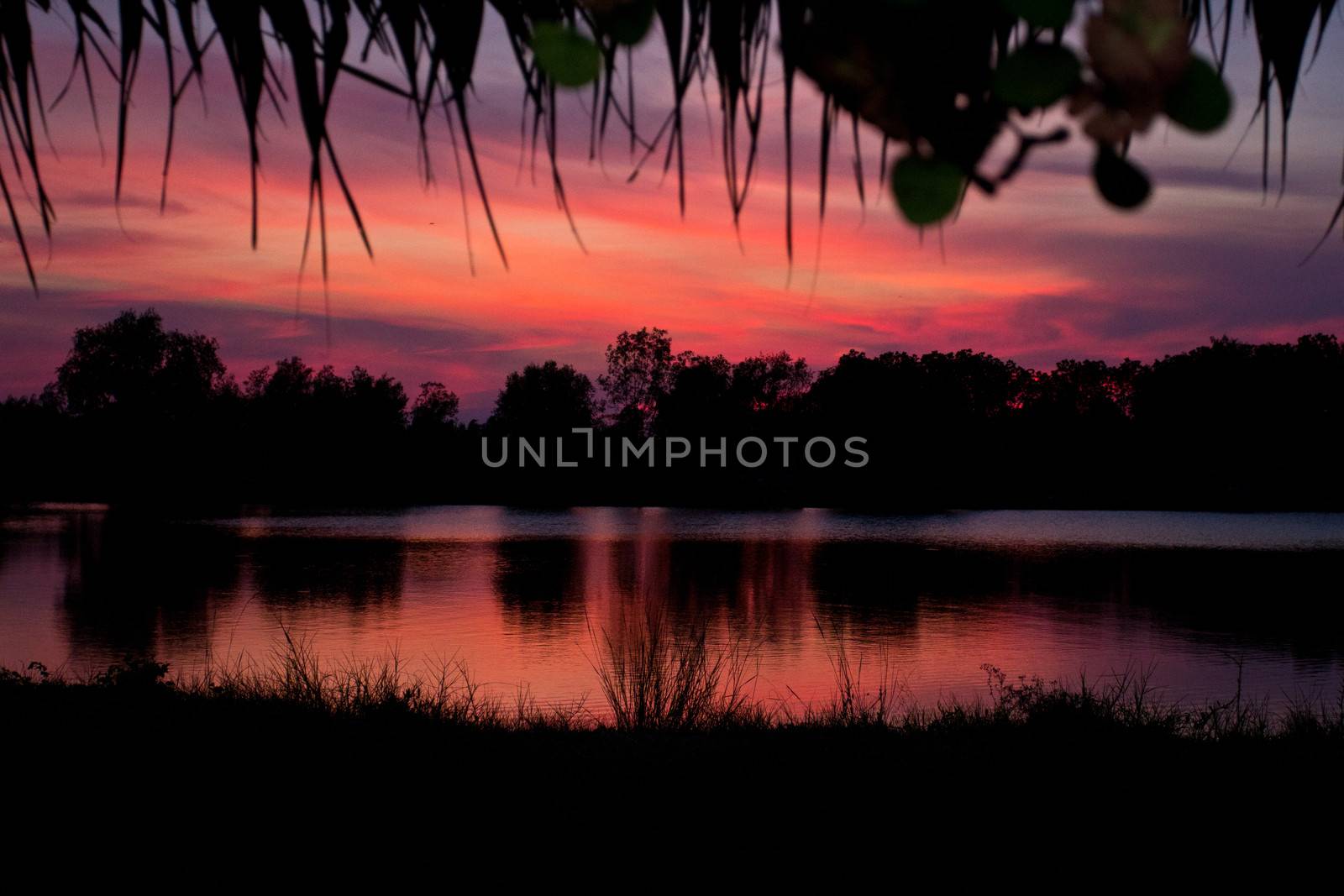 trees silhouette on sunset Thailand river