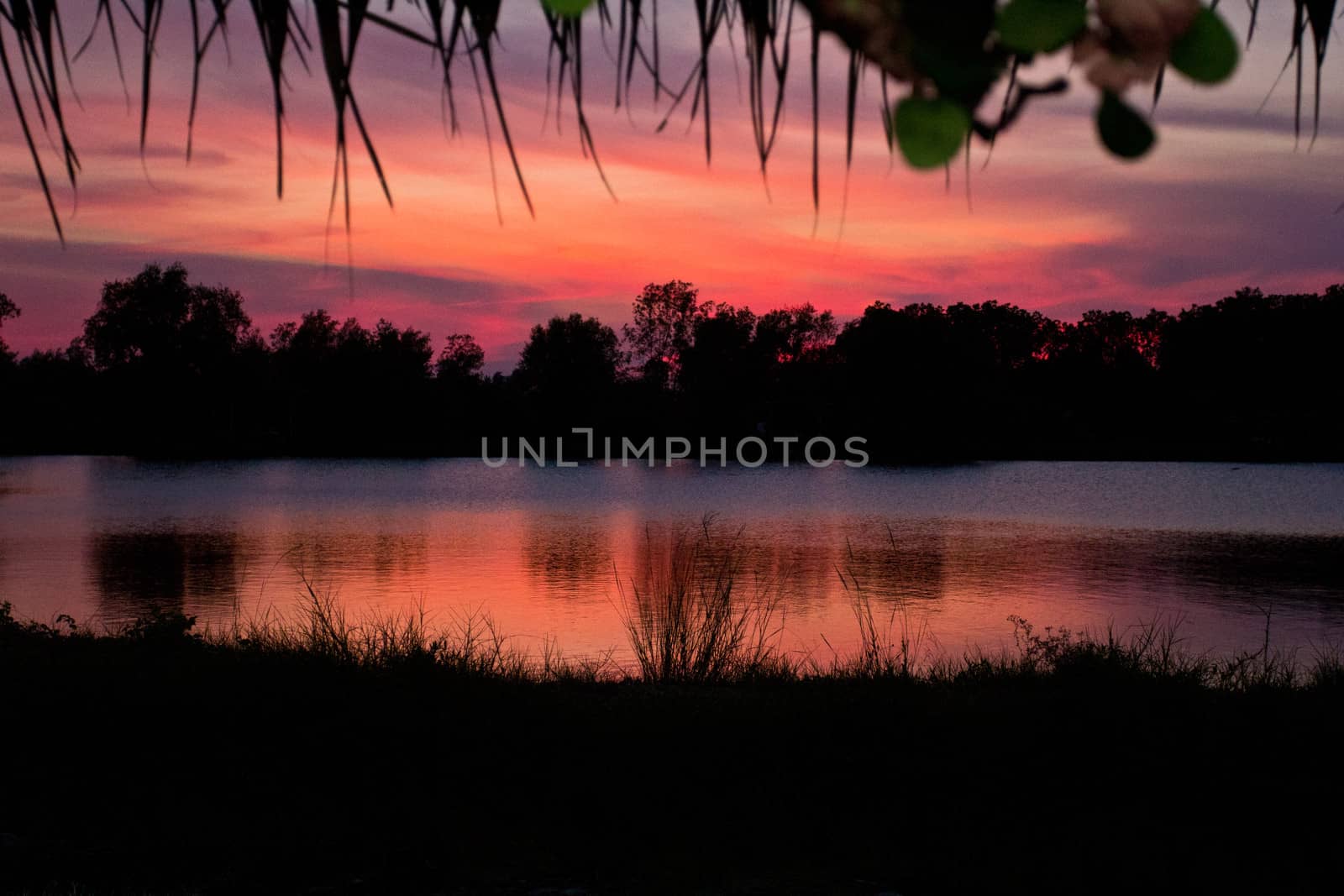 trees silhouette on sunset Thailand river