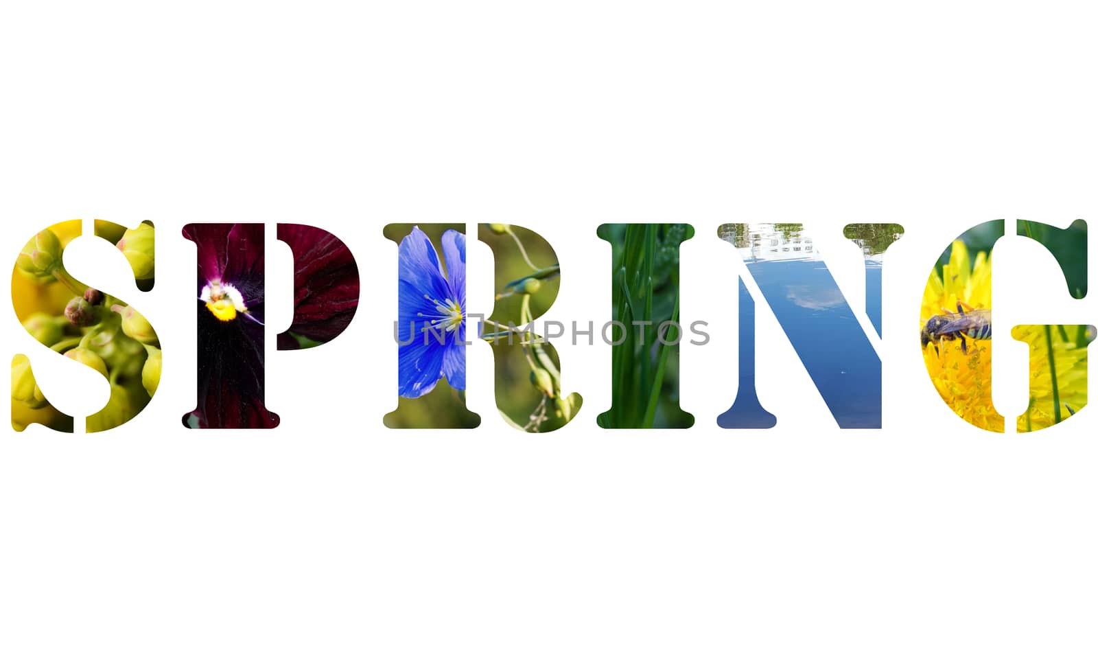 The word spring in color isolated on white background