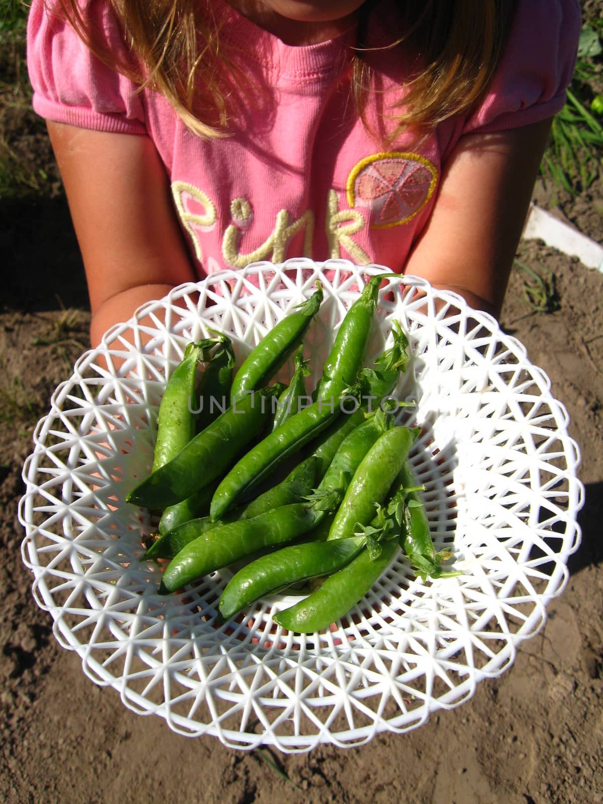 little girl proposing fresh peas in the plate