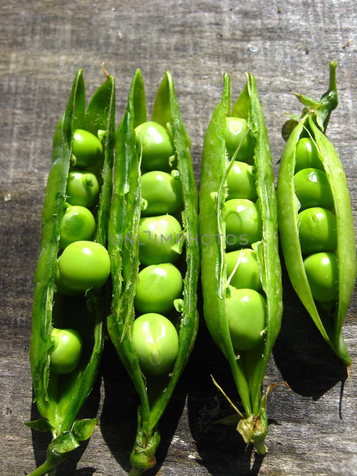 Fresh green pea pods by alexmak