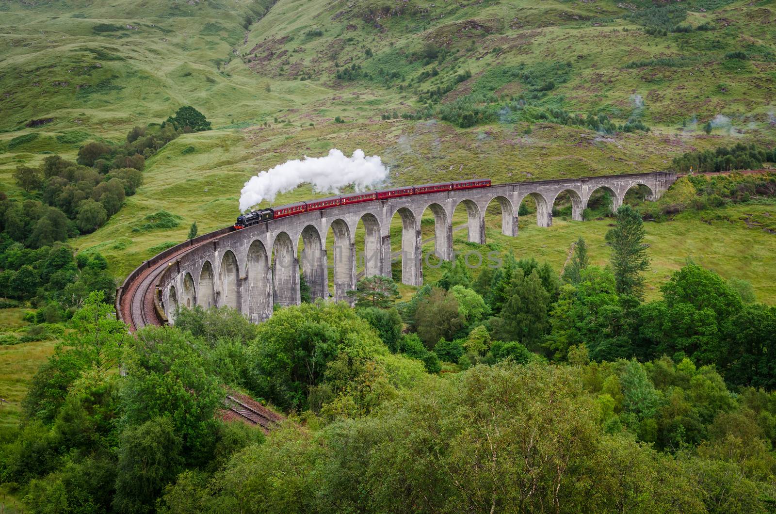 Steam train on a famous Glenfinnan viaduct, Scotland by martinm303
