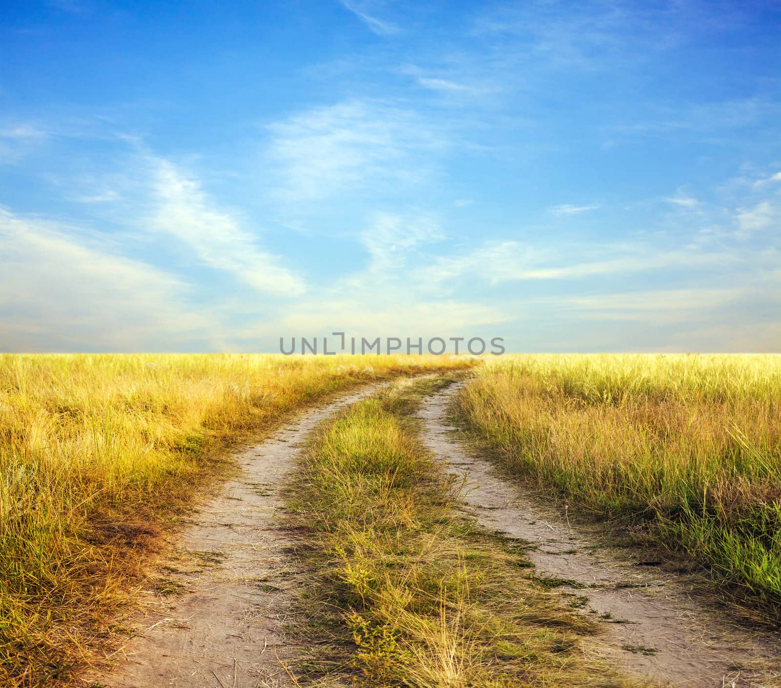 Photo of the road into a field and blue sky
