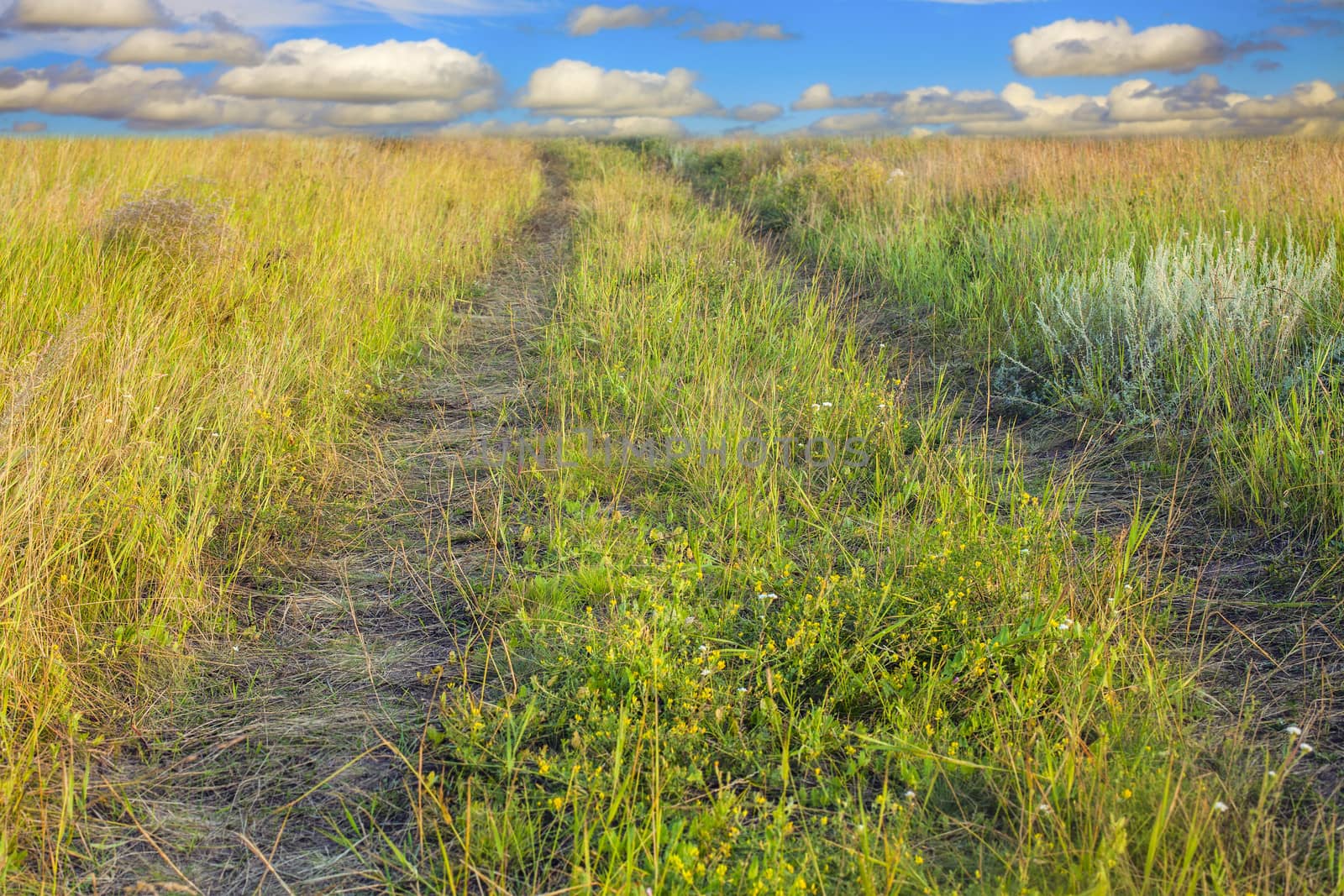 Photo of the road into a field by anelina