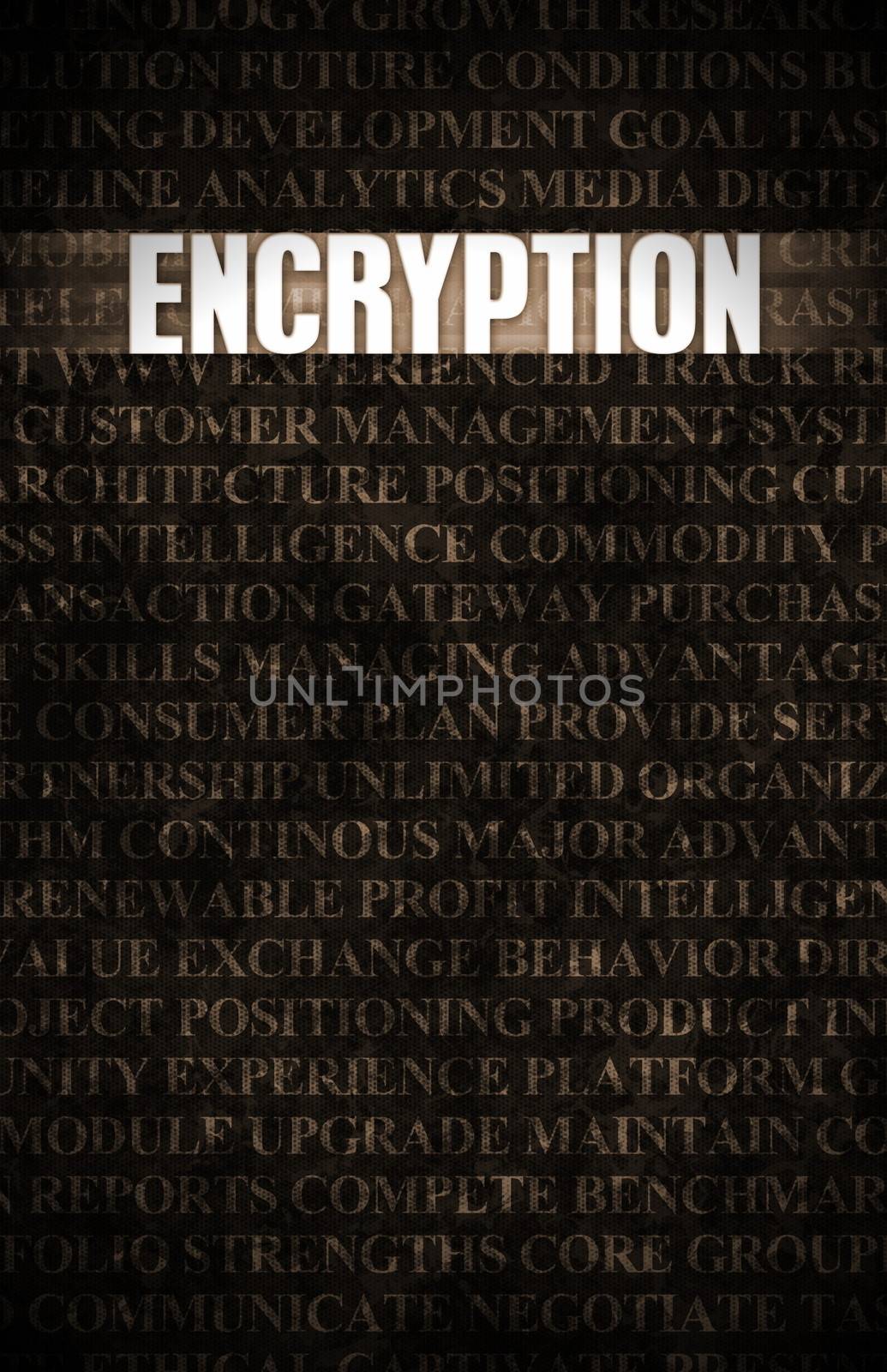 Encryption in Business as Motivation in Stone Wall