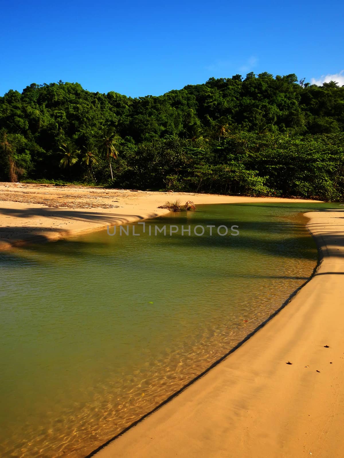 Freshwater river on a beach, Playa El Limon, Dominican Republic