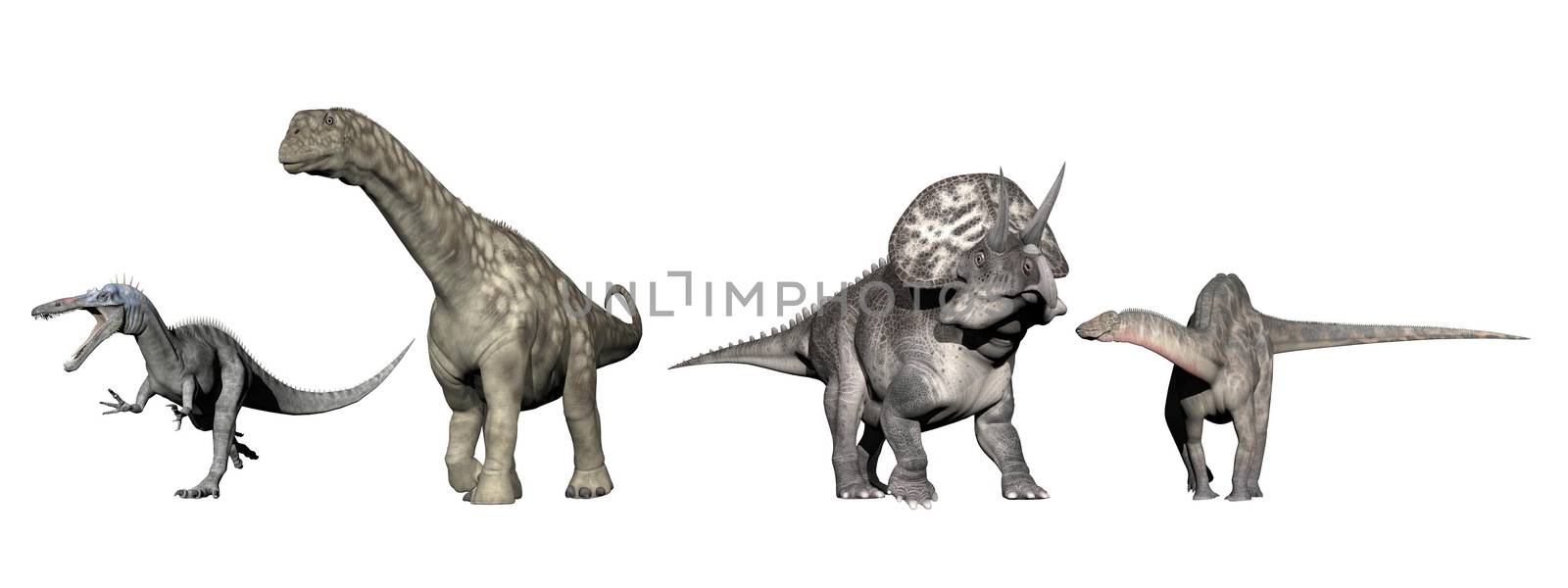 Four dinosaurs (brachisaurus, dicraeosaurus, acasaurus, diceratops) in white background