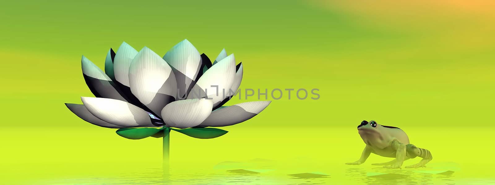 Frog and lotus flower - 3D render by Elenaphotos21