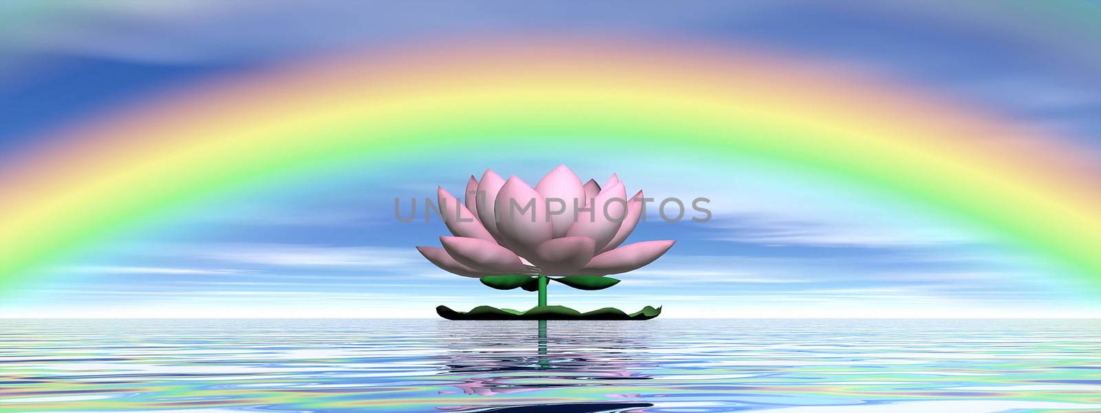 Beautiful pink lotus flower on water and under rainbow and cloudy blue sky