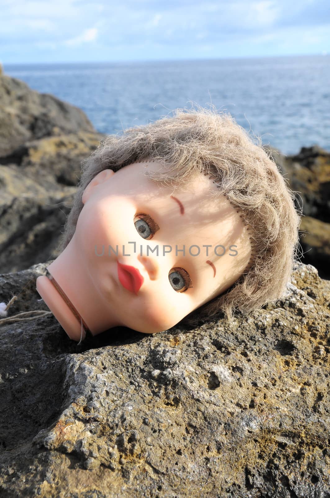 One Ancient Dool's Head Abandoned on the Rocks