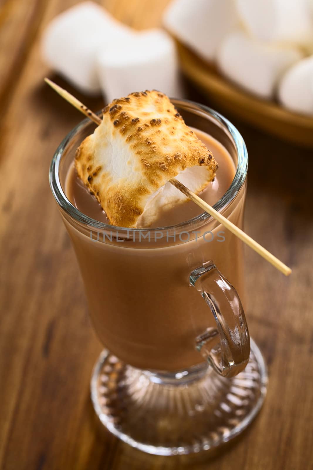 Hot Chocolate with Toasted Marshmallow by ildi